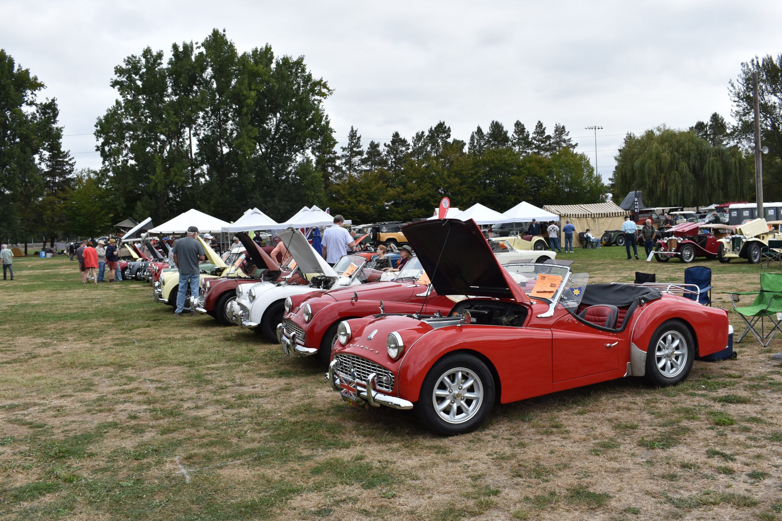 Row of Triumphs at All British Field Meet 2025