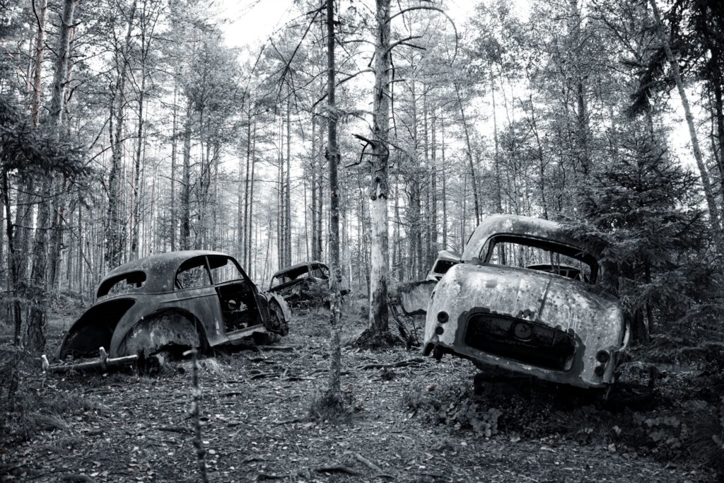 Black and white view of rusty abandoned cars in a forest setting
